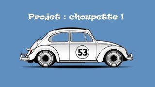 Projet  Choupette [upl. by Fonz]