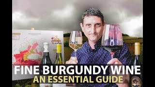 10Minute Guide to Burgundy  Fine Wines from Bourgogne Part1 [upl. by Emeric]