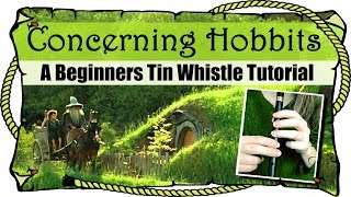 Lord Of The Rings  Concerning Hobbits  BEGINNERS TIN WHISTLE TUTORIAL [upl. by Torrlow281]