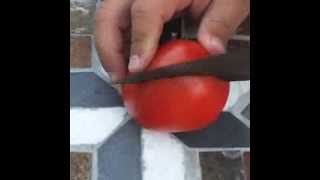 2 Trowel Sharpening [upl. by Rollin]