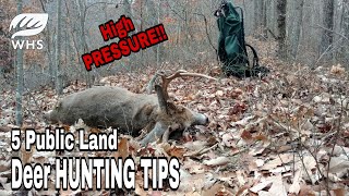 5 Ways to Deer Hunt Pressured Public Land [upl. by Newfeld830]