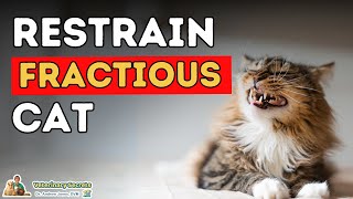 How To Restrain a Fractious Cat and Trim Cat Nails [upl. by Nyltak842]