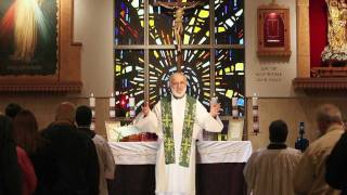 Sacraments 101 Holy Orders what ordination means [upl. by Ecinej347]