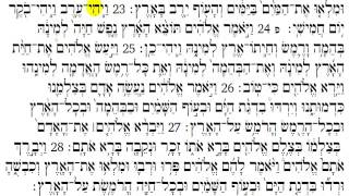 Torah Reading  Genesis Chapter 1 [upl. by Kreager]