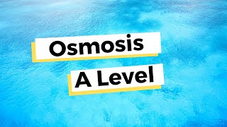 Osmosis  A Level Biology [upl. by Nuajed]