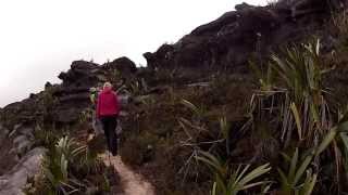 Walking Across the Top of Mount Roraima Venezuela [upl. by Isman524]