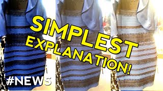 The Dress Mystery Color Explained  SIMPLEST EXPLANATION [upl. by Ahsrop]