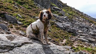 To Corrour Bothy [upl. by Fabrienne]