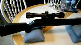 Gamo Varmint 1250fps Accuracy Review [upl. by Ennaitsirk]