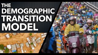 The Demographic Transition Model DTM [upl. by Ximenes]