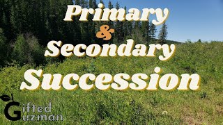 Primary and Secondary Succession [upl. by Aitel325]