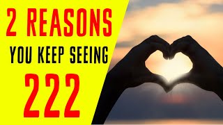 2 Reasons Why You Keep Seeing 222  Angel Number 222 Meaning [upl. by Ahsitam]