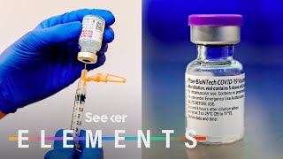 What’s In the Pfizer amp Moderna COVID Vaccines [upl. by Lechar]