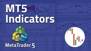 Using Indicators on MetaTrader 5 [upl. by Drapehs888]