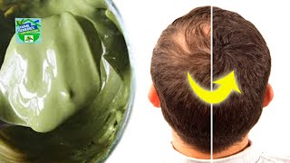 How to Grow New Hair Follicles With This Herb [upl. by Immac700]