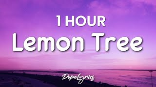 1 HOUR Lemon Tree  Fools Garden Lyrics 🎵 [upl. by Vernen192]