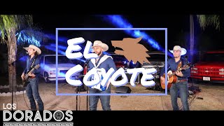 Los Dorados  El Coyote En Vivo [upl. by Lower]