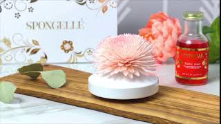 Spongelle Floret Diffuser  Romanticism Collection [upl. by Hayyim839]