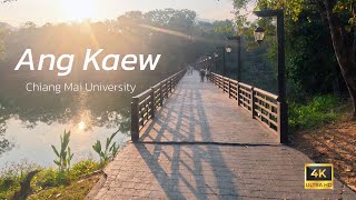 4K Ang Kaew Chiang Mai University  Walking Tour [upl. by Nnylsia]