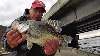 Secrets For Crappie Fishing Bridges MONSTER CRAPPIE [upl. by Farkas10]