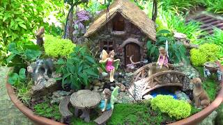 All About Fairy Gardens with Dave Forehand [upl. by Olin]