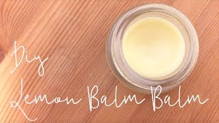 DIY Lemon Balm Balm [upl. by Diarmit]