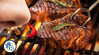 Why the Maillard Reaction Makes Everything Delicious [upl. by Hola]