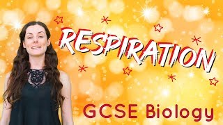 Respiration  GCSE Biology [upl. by Rehpotsirhc]