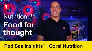 Coral nutrition  food for thought [upl. by Hanyaz]