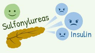 Mechanism of Action of Sulfonylureas and Meglitinide Analogs [upl. by Christophe]