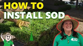 How to Buy and Install Sod [upl. by Abate]