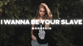 Måneskin  I WANNA BE YOUR SLAVE Lyrics [upl. by Hoffert]