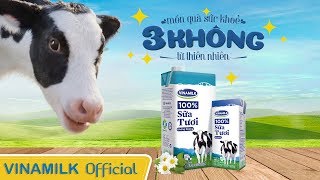 Quảng cáo Vinamilk  Món quà sức khoẻ 3 Không từ Thiên Nhiên  Sữa Tươi 100 Ít Đường Mới [upl. by Raveaux]