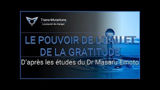 le pouvoir caché de leau et de la gratitude Dr Masaru Emoto [upl. by Aicatsana127]