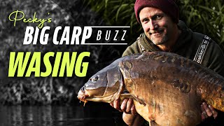 Peckys Big Carp Buzz  Wasing Estate Oxlease Chasing Monster Carp  Korda 2021 [upl. by Ecniuq9]