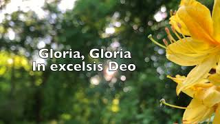 The Gloria In Excelsis Deo Clap Clap Anderson with lyrics [upl. by Lashond496]