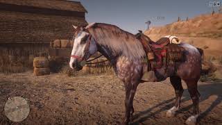 Red Dead Redemption 2 Online  Rose Grey Horse  Norfolk Roadster [upl. by Sudaorb]