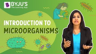 Microorganisms Introduction [upl. by Arliene445]