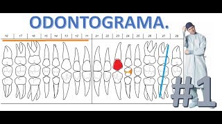 Como llenar un Odontograma  Parte 1 [upl. by Ennaecarg]