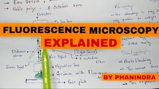 fluorescence microscopy  Mechanism  Advantages and disadvantages [upl. by Nailij]