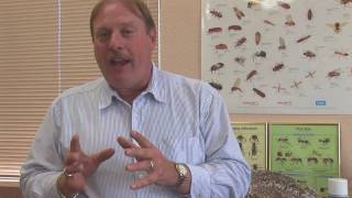 Pest Control Tips  When Do Ticks Lay Eggs [upl. by Pomfret]