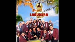 Banda Lagunera  Cumbias De La Lagunera Audio [upl. by Khai]