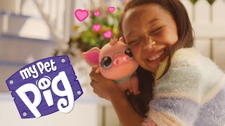 Little Live Pets  My Pet Pig  TVC 15 [upl. by Enovi]