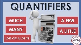 Quantifiers  English Grammar [upl. by Llenoj]