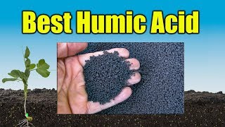 Humic Acid for Lawns [upl. by Rock120]