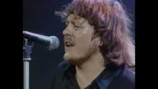 Zucchero Live Performance [upl. by Atkins261]