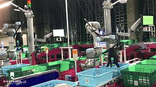 RightHand Robotics video case study PALTAC Corporation [upl. by Olrac]