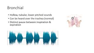 Essential Lung Sounds [upl. by Porche456]