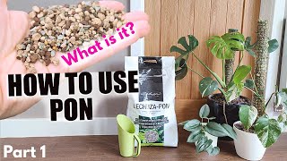 How to use Lechuza PON part 1  What is PON  Convert plants to soil free  Get rid of fly gnats [upl. by Strephon]