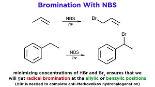 AllylicBenzylic Bromination With NBromo Succinimide NBS [upl. by Bez866]